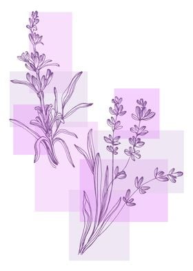 Lavender  Minimal Contemp