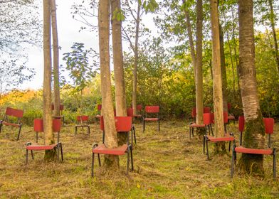 Trees and chairs