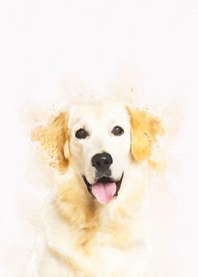 Golden retriever Dog