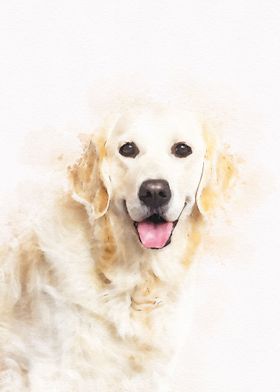 Golden retriever Dog