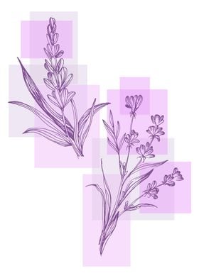 Lavender Simple Minimal Bo