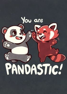 You are Pandastic