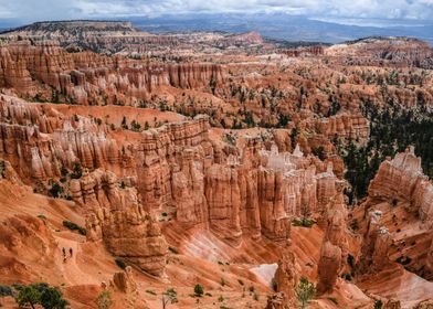 Orange Hoodoo Bryce Canyon