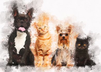 Group of cats and dogs 