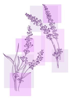 Lavender  Minimalist Gard