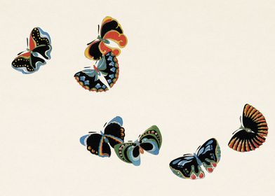 Japanese butterflies