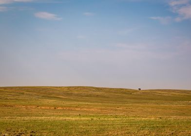 New Mexico High Plains