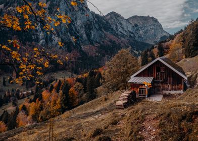 Autumn Barn