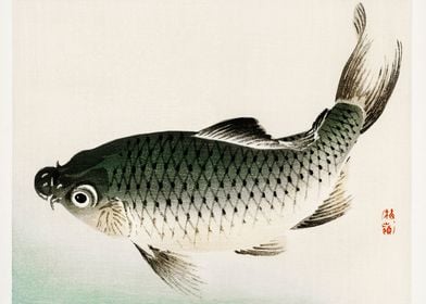 Carp by Kono Bairei 1844