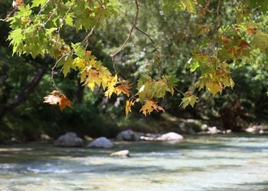 Acherontas river in Greece