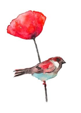 Sparrow on poppy 