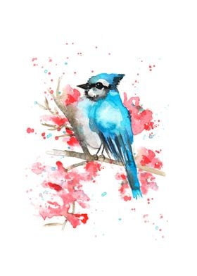 Blue jay on branch 