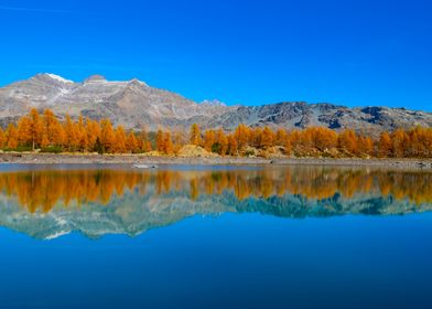 On the enchanted lake