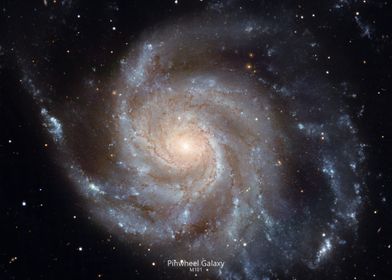 Pinwheel Galaxy