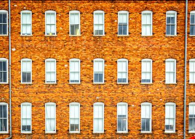 Brick Wall of Windows