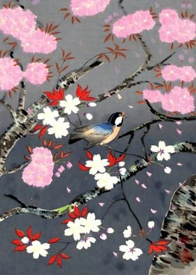 Ukiyo e Cherry Blossom