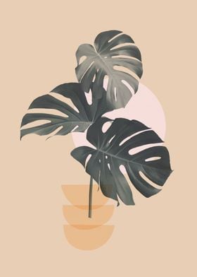 Minimalist floral A51