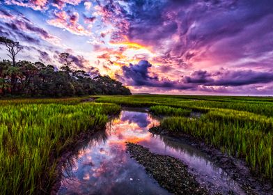 Botany Bay Marsh Sunset