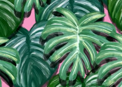 monstera tropical