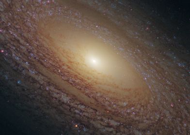 NGC 2841