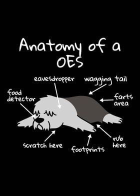 Anatomy Of An OES