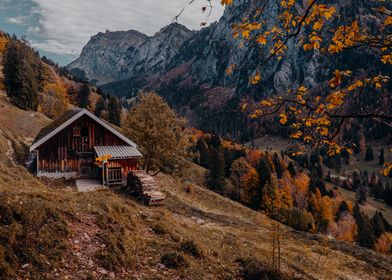 Autumn Barn Switzerland