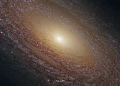 NGC 2841