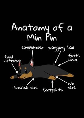 Anatomy Of A Min Pin