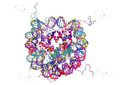 DNA Crystal Structure 