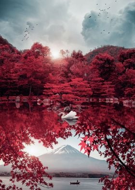 Mount Fuji and white swan