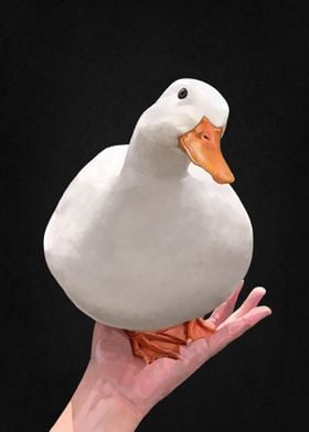 Duck on palm meme