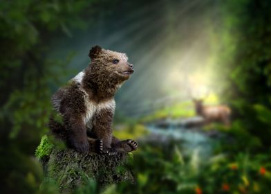 Bear cub sits on a stump