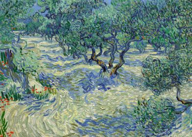 Olive Orchard by Van Gogh