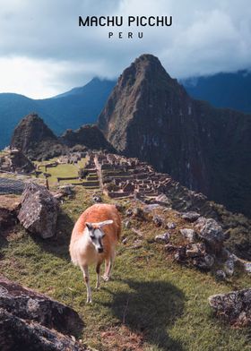 Machu Picchu  