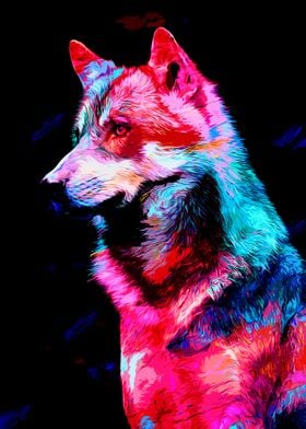 colorful animal