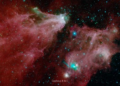 Cepheus C and Cepheus B