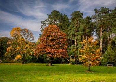 Autumn colours