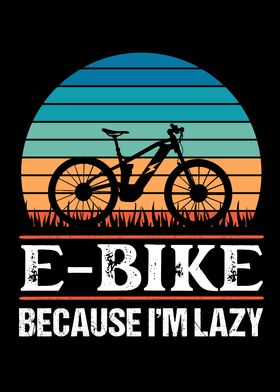 E Bike because Im lazy