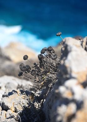 Hike in Karpathos Greece