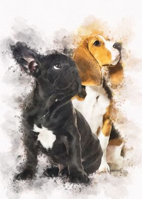 Young beagle and black 