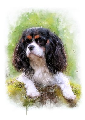 Cavalier puppy watercolor