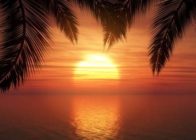 Palm Trees Sunset