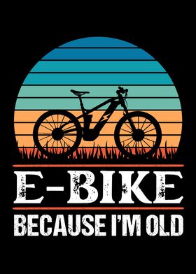 E Bike because Im Old