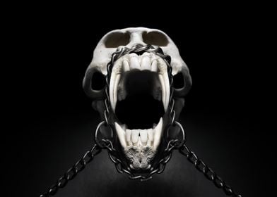 Baboon skeleton captive