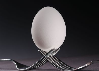 an egg