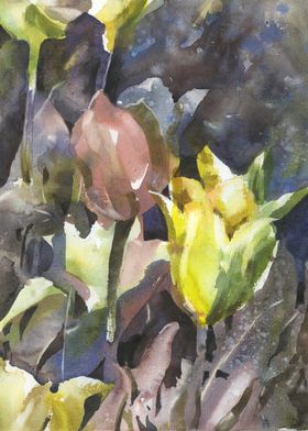 Tulip watercolor painting
