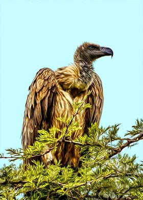 Vulture