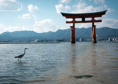 Fresh views of Torii Gates