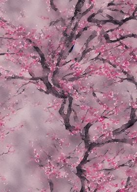 Cherry Blossom Watercolour