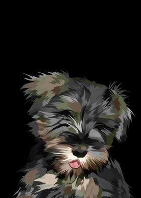 mini schnauzer dog